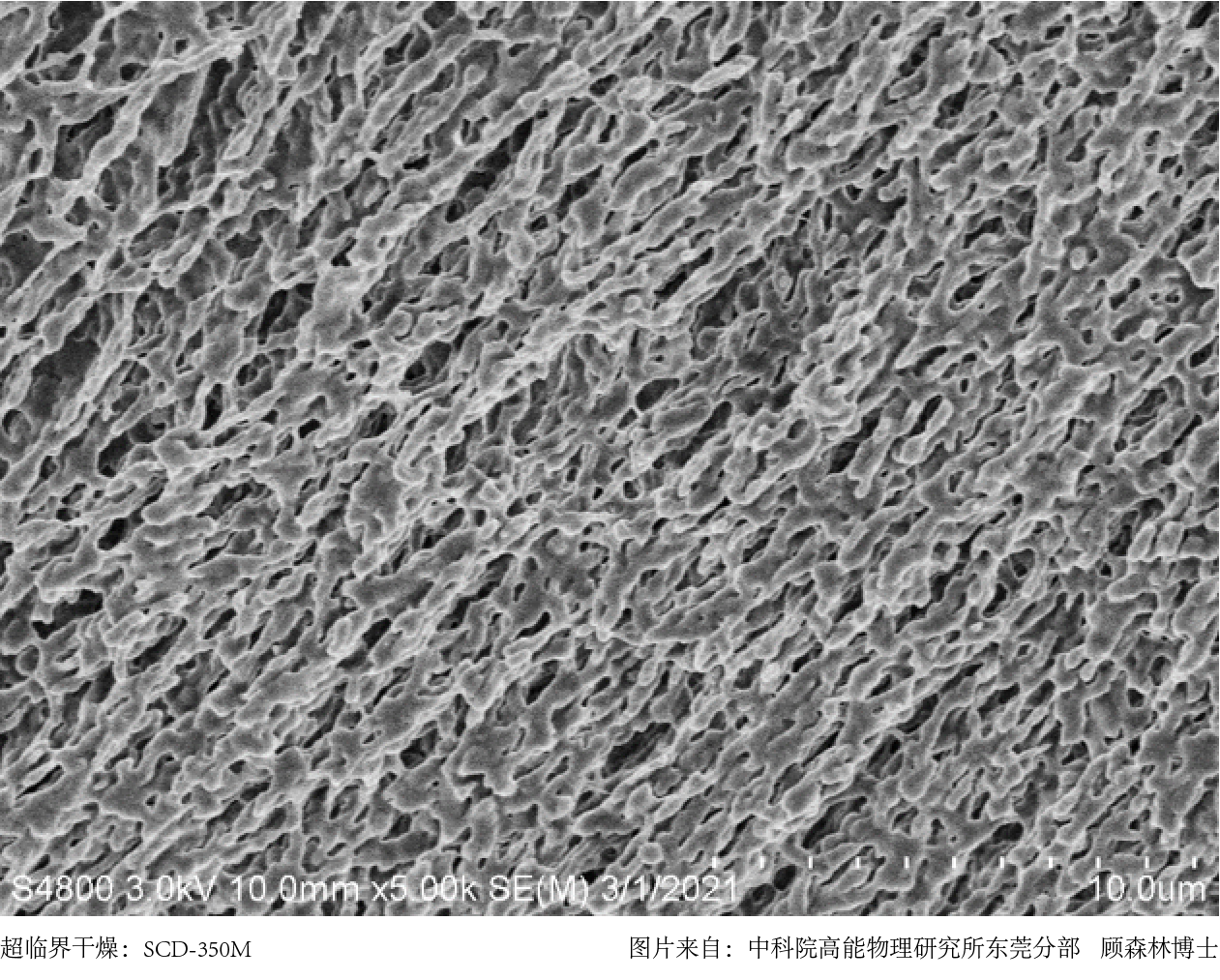 超臨界干燥法與常規(guī)空氣干燥法對比圖